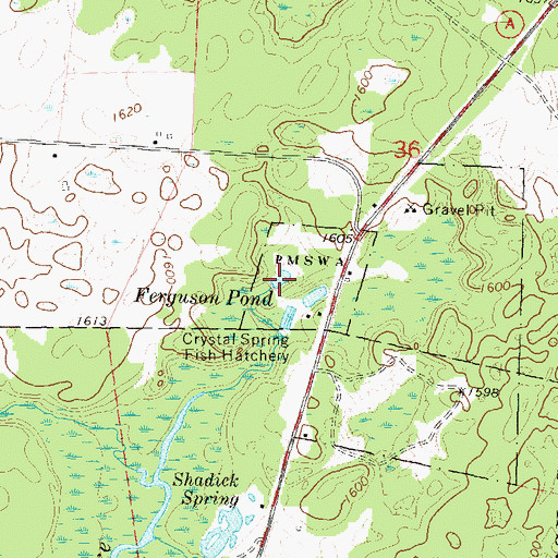 Topographic Map of Ferguson Pond, WI