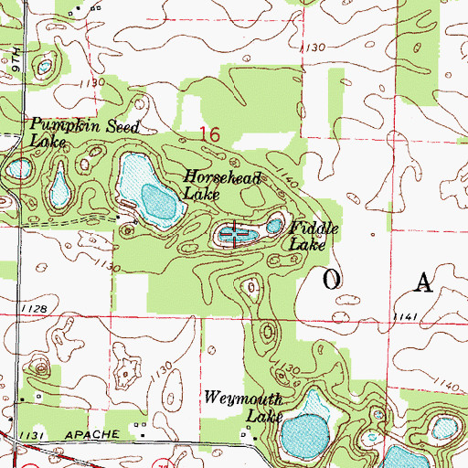 Topographic Map of Fiddle Lake, WI