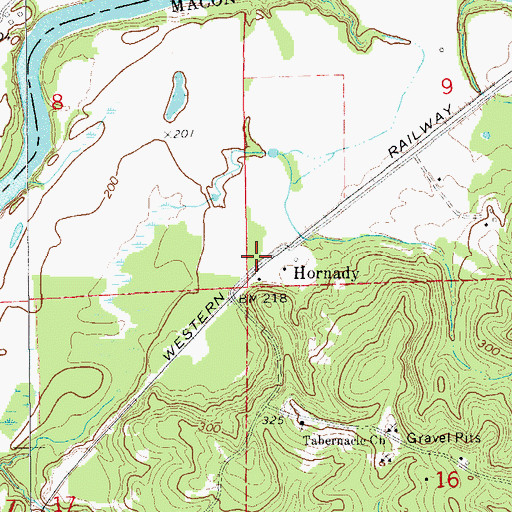 Topographic Map of Hornady, AL