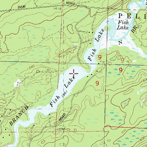 Topographic Map of Fish Lake, WI
