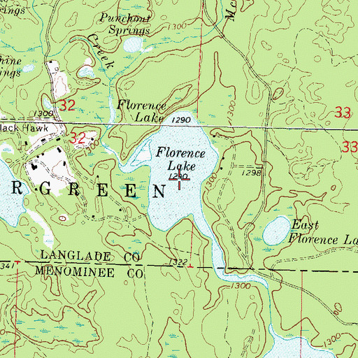 Topographic Map of Florence Lake, WI