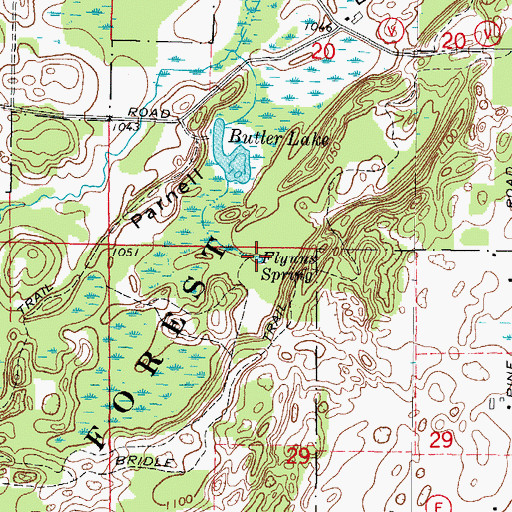 Topographic Map of Flynns Spring, WI