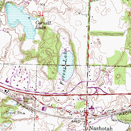 Topographic Map of Forest Lake, WI