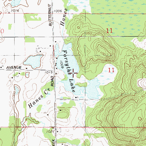 Topographic Map of Forsythe Lake, WI