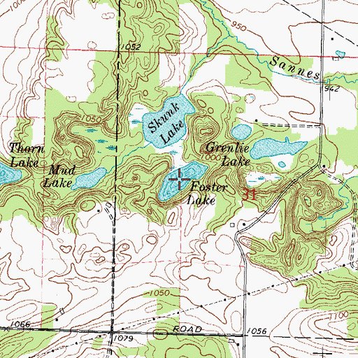 Topographic Map of Foster Lake, WI