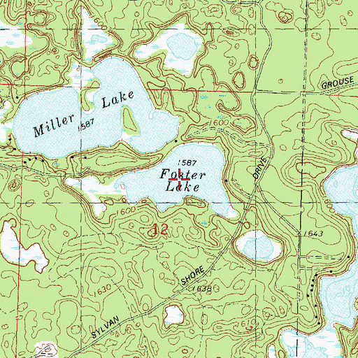 Topographic Map of Foster Lake, WI