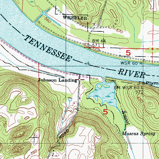 Topographic Map of Johnson Landing, AL