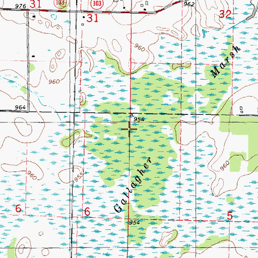 Topographic Map of Gallagher Marsh, WI