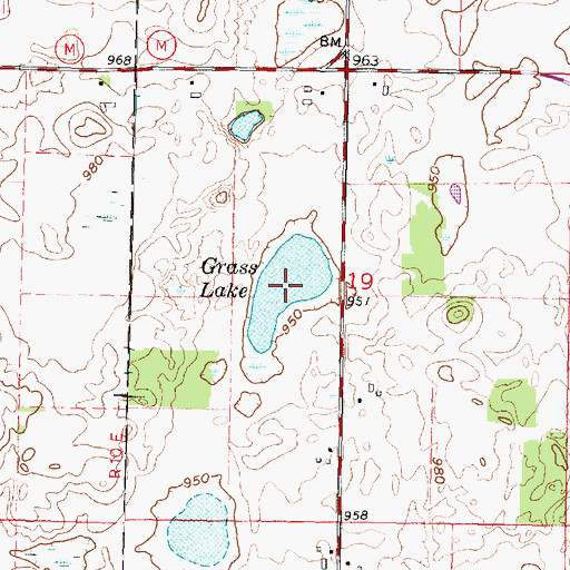 Topographic Map of Grass Lake, WI