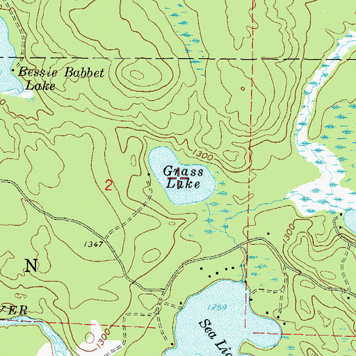 Topographic Map of Grass Lake, WI