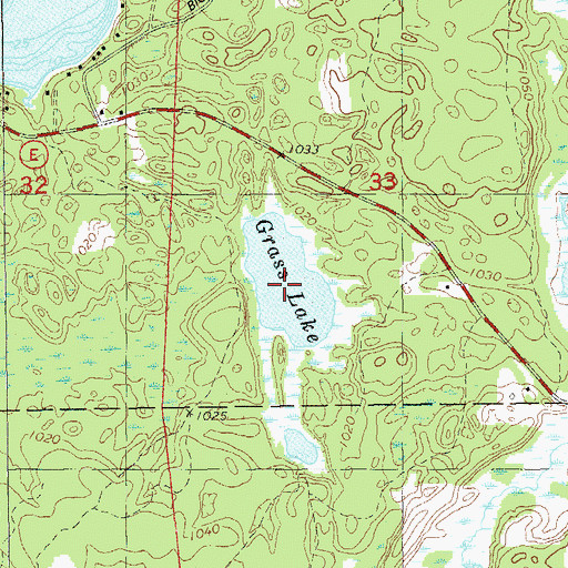 Topographic Map of Grass Lake, WI