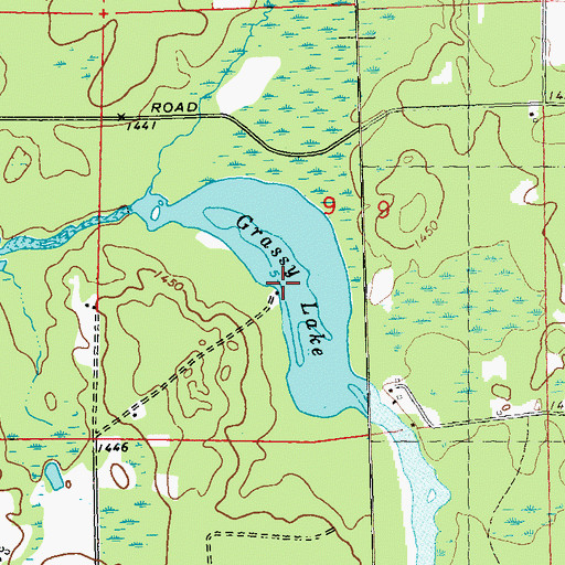 Topographic Map of Grassy Lake, WI