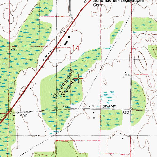 Topographic Map of Greenwood Swamp, WI