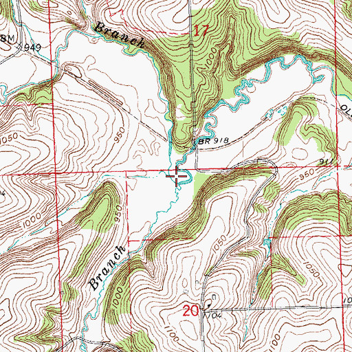 Topographic Map of Gribble Branch, WI