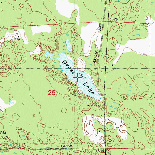 Topographic Map of Gross Lake, WI