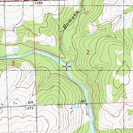Topographic Map of Hamann Creek, WI
