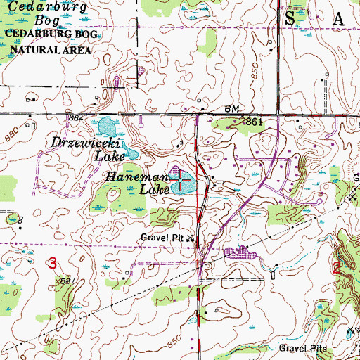 Topographic Map of Haneman Lake, WI