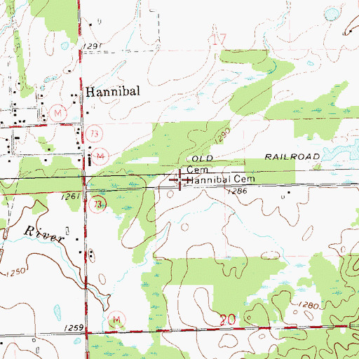 Topographic Map of Hannibal Cemetery, WI