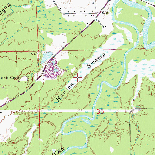 Topographic Map of Hanson Swamp, WI