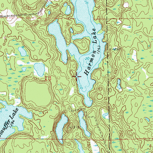 Topographic Map of Harmon Lake, WI