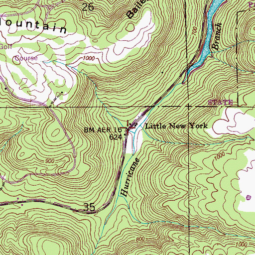 Topographic Map of Little New York, AL