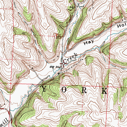 Topographic Map of Hay Hollow, WI