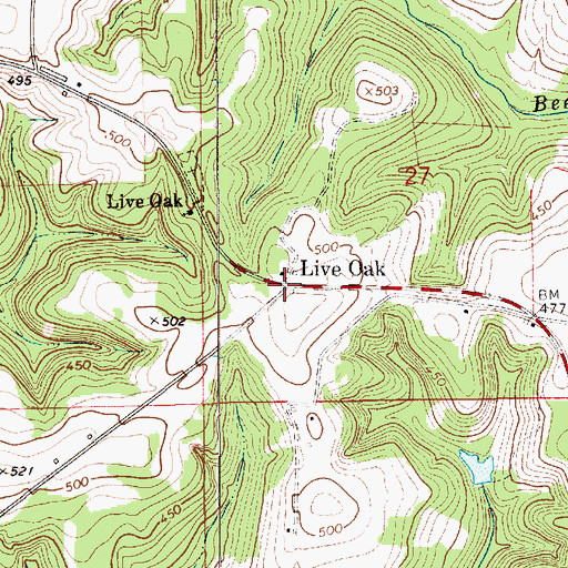 Topographic Map of Live Oak, AL