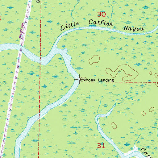 Topographic Map of Liveoak Landing, AL