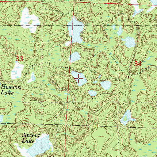 Topographic Map of Henson Lake, WI