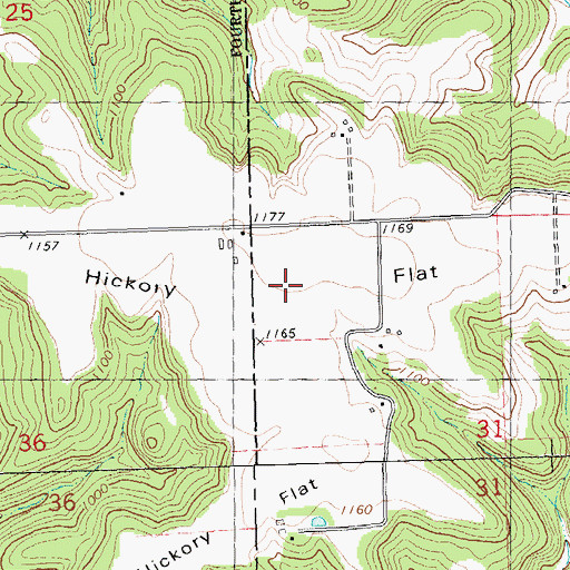 Topographic Map of Hickory Flat, WI