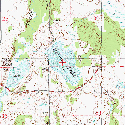 Topographic Map of Holmes Lake, WI