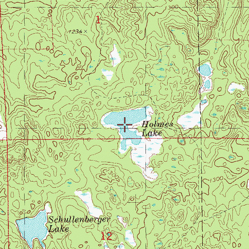 Topographic Map of Holmes Lake, WI
