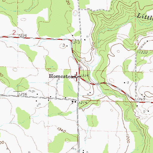 Topographic Map of Homestead, WI