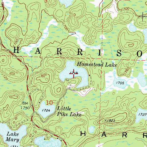 Topographic Map of Homestead Lake, WI