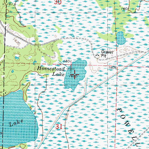 Topographic Map of Homestead Lake, WI