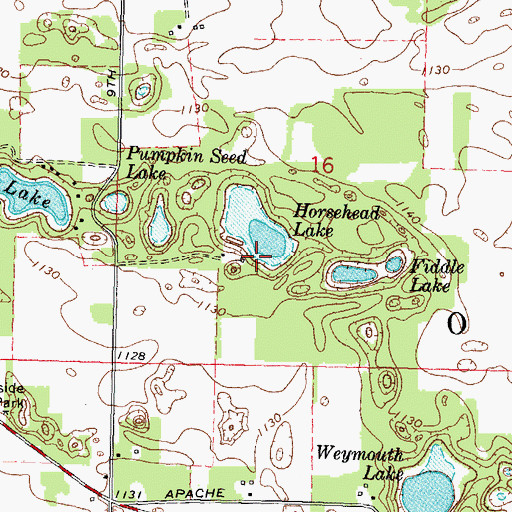 Topographic Map of Horsehead Lake, WI