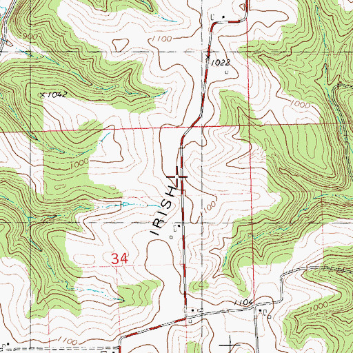 Topographic Map of Irish Ridge, WI