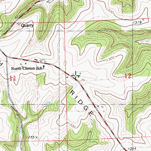 Topographic Map of Irish Ridge, WI