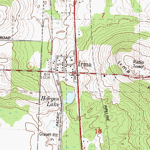 Topographic Map of Irma, WI