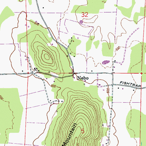 Topographic Map of Nebo, AL