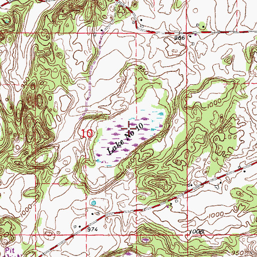 Topographic Map of Lake Number Ten, WI