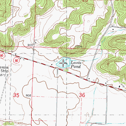 Topographic Map of Lantz Pond, WI