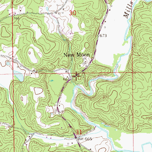 Topographic Map of New Moon, AL