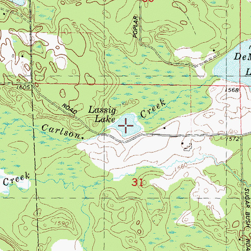Topographic Map of Lassig Lake, WI