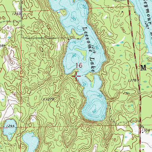 Topographic Map of Leesome Lake, WI