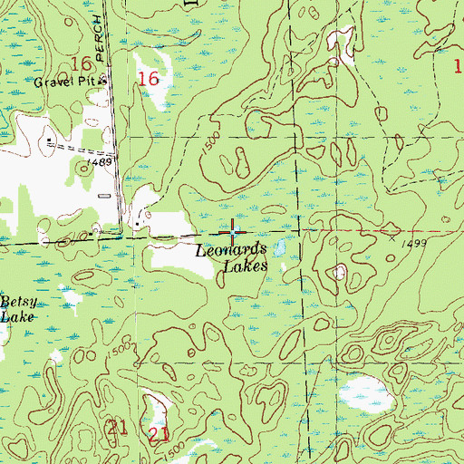 Topographic Map of Leonards Lakes, WI