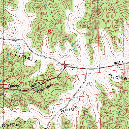 Topographic Map of Limery Ridge, WI