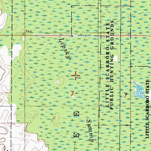 Topographic Map of Lipsky Swamp, WI