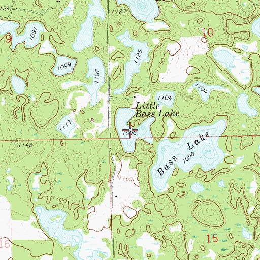 Topographic Map of Little Bass Lake, WI