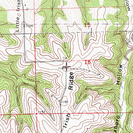 Topographic Map of Little Irish Ridge, WI
